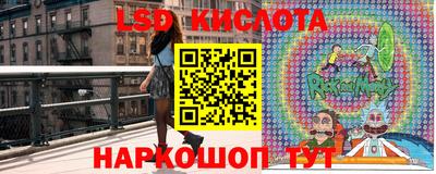ПСИЛОЦИБИНОВЫЕ ГРИБЫ Кимры