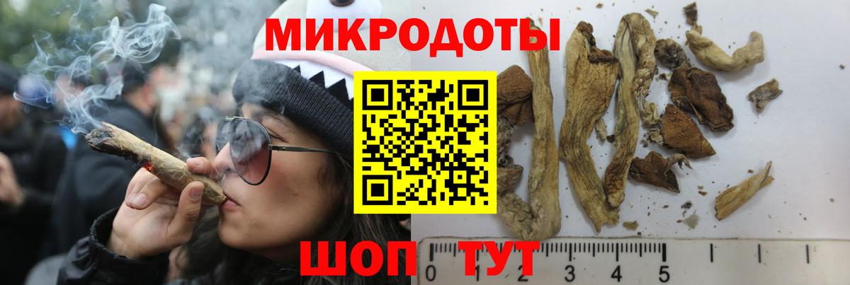 Псилоцибиновые грибы MAGIC MUSHROOMS  Галлюциногенные грибы Cubensis  Дятьково  Вход с VPN 